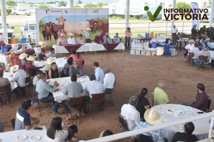 Establece sinergia Gobierno de Tamaulipas con productores agrícolas y ganaderos.