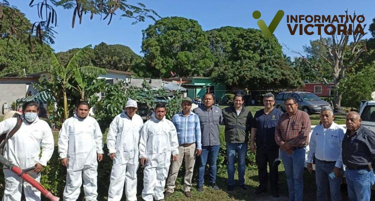 Activa Secretaría de Salud vigilancia epidemiológica por encefalitis equina.