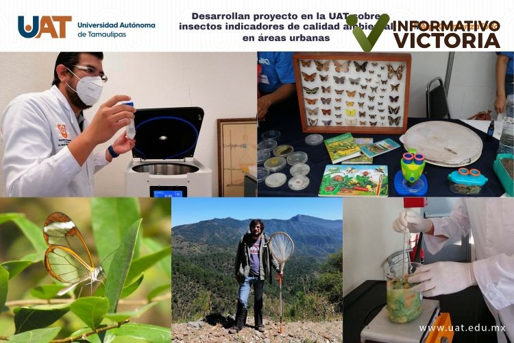 Desarrolla UAT proyecto sobre insectos indicadores de calidad ambiental en áreas urbanas.