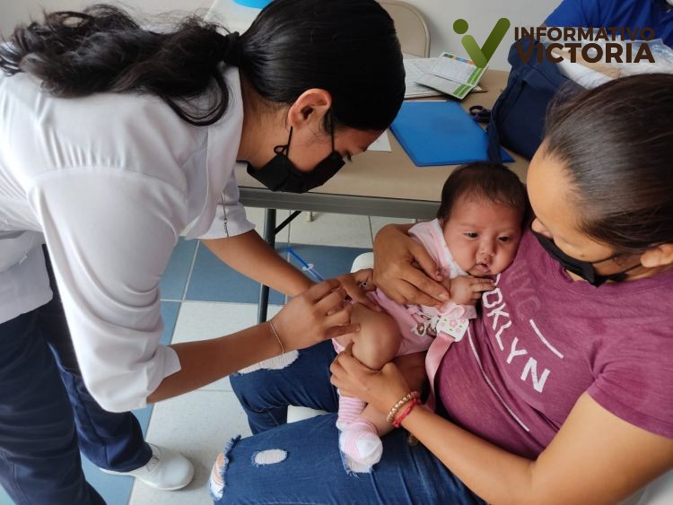 Recomiendan aplicar las dosis correspondientes a los menores de 2, 4, 6 y 18 meses de edad.