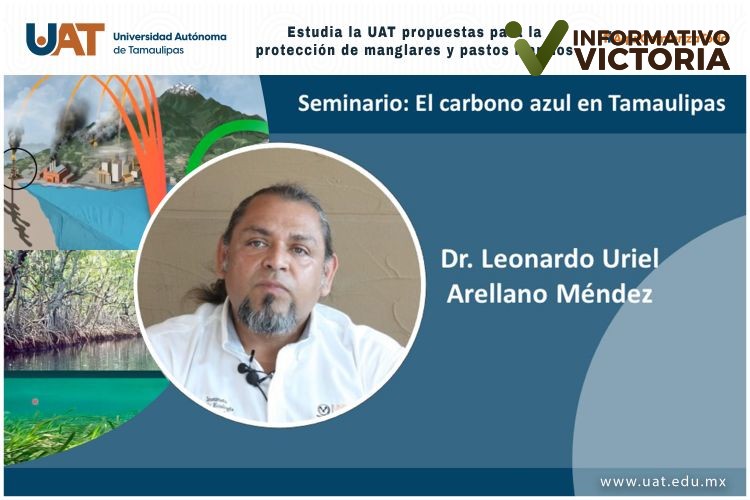 Estudia la UAT propuestas para la protección de manglares y pastos marinos.