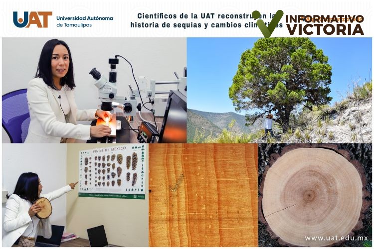 Científicos de la UAT reconstruyen la historia de sequías y cambios climáticos.