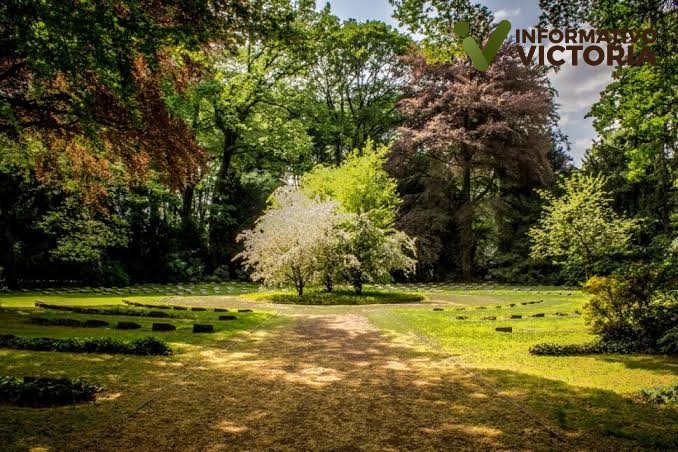 Encuentran a una mujer descuartizada en parque de Francia.