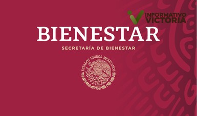 Culminarán encuestas Bienestar en 15 dias.