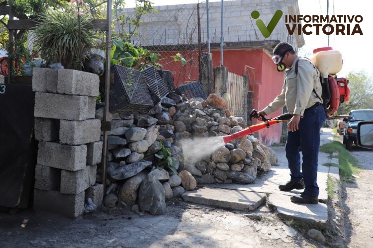 Exhorta Secretaría de Salud a la población a reforzar medidas de prevención contra el dengue