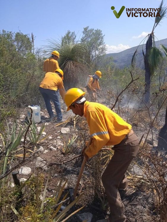 Permanentes acciones de contención y extinción de incendios forestales en Tamaulipas