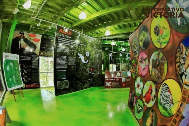 Disfruta las maravillas naturales en el Parque Ecológico Biósfera El Cielo