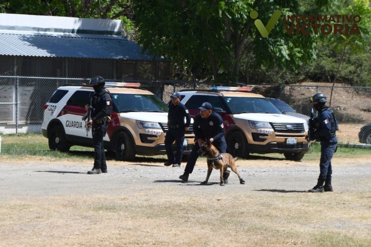 Desempeñan elementos caninos labor destacada dentro de la Guardia Estatal