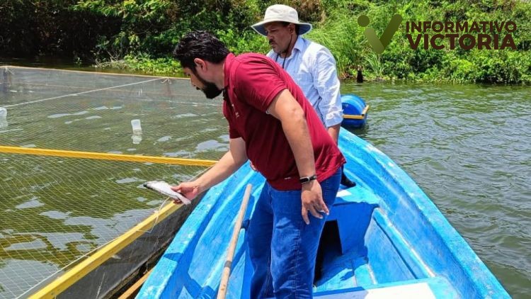 Gobierno del Estado impulsa el crecimiento para el sector pesquero en la zona sur de Tamaulipas