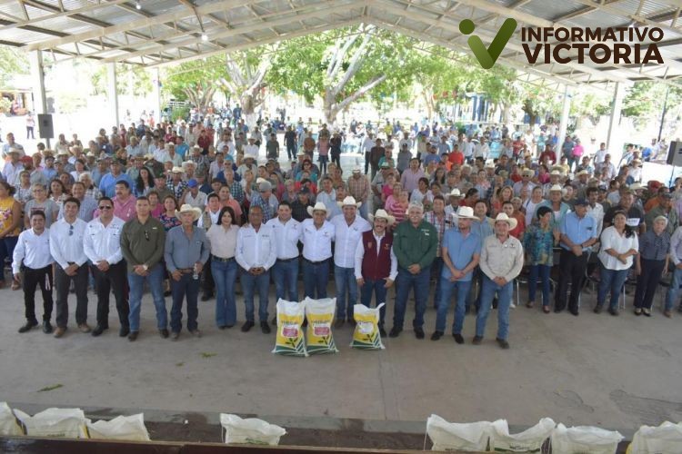 Favorece gobierno estatal a productores citrícolas con fertilizante granulado