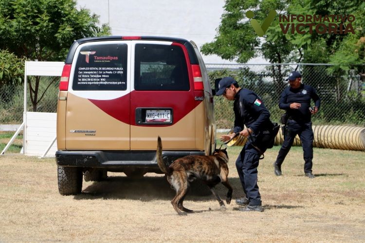 Cuenta Guardia Estatal con agentes caninos especializados