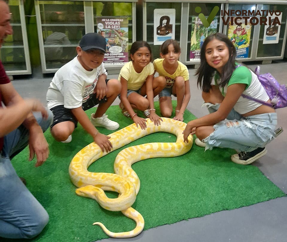Expone Parque Ecológico de la Biósfera El Cielo especies de reptiles y anfibios a la población