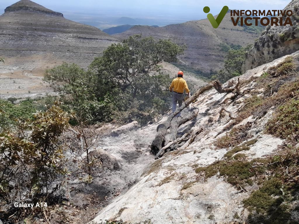 Protección Civil Tamaulipas y CONAFOR extinguen incendio forestal en San Carlos