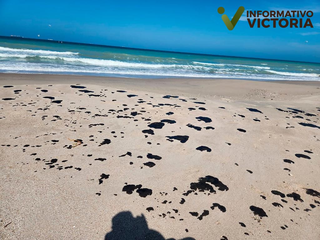 Vigilan Gobierno Federal y SEDUMA presencia de hidrocarburo en playas de Tamaulipas