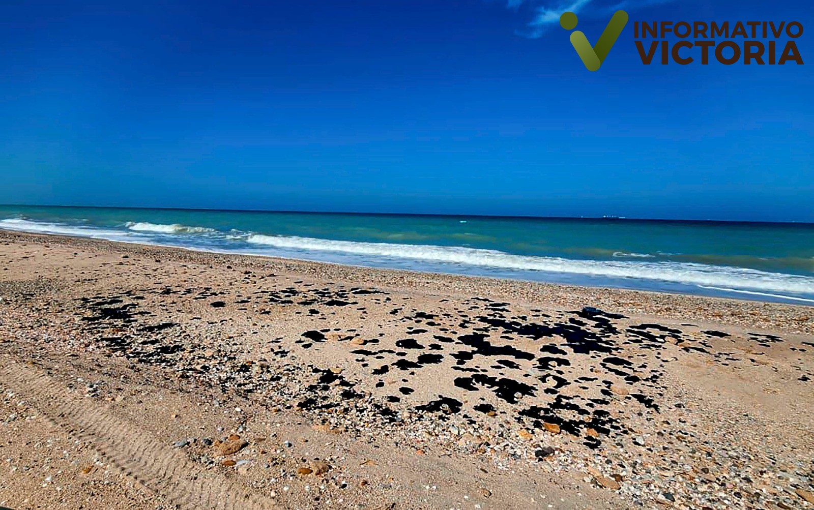 Inspeccionan SEDUMA y PEMEX presencia de hidrocarburo en playas de Tamaulipas