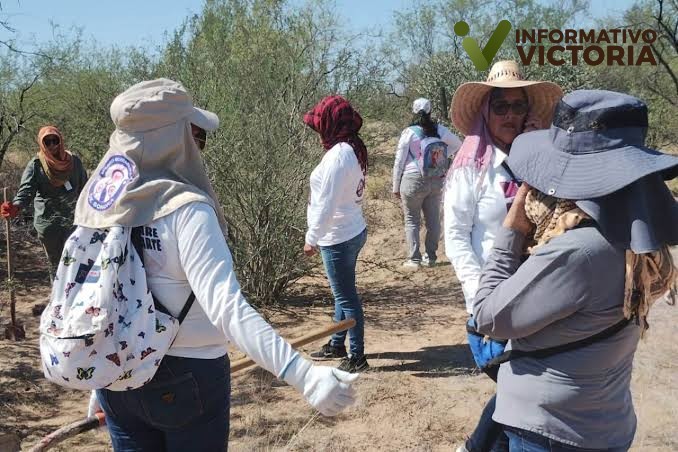 Madres Buscadoras denuncian ataque armado en Sonora.