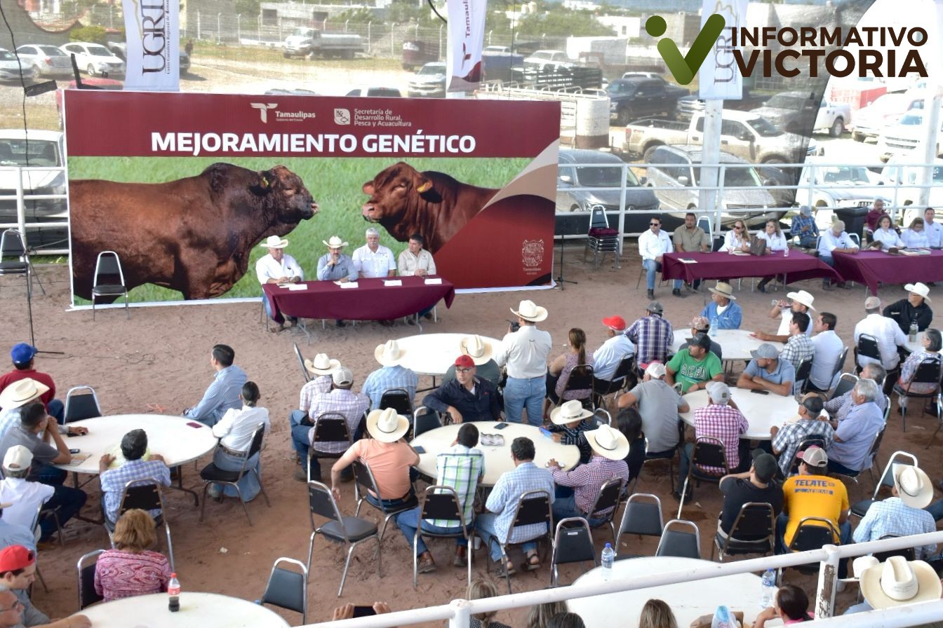 Renuevan hatos ganaderos de Tamaulipas con Programa de Mejoramiento Genético
