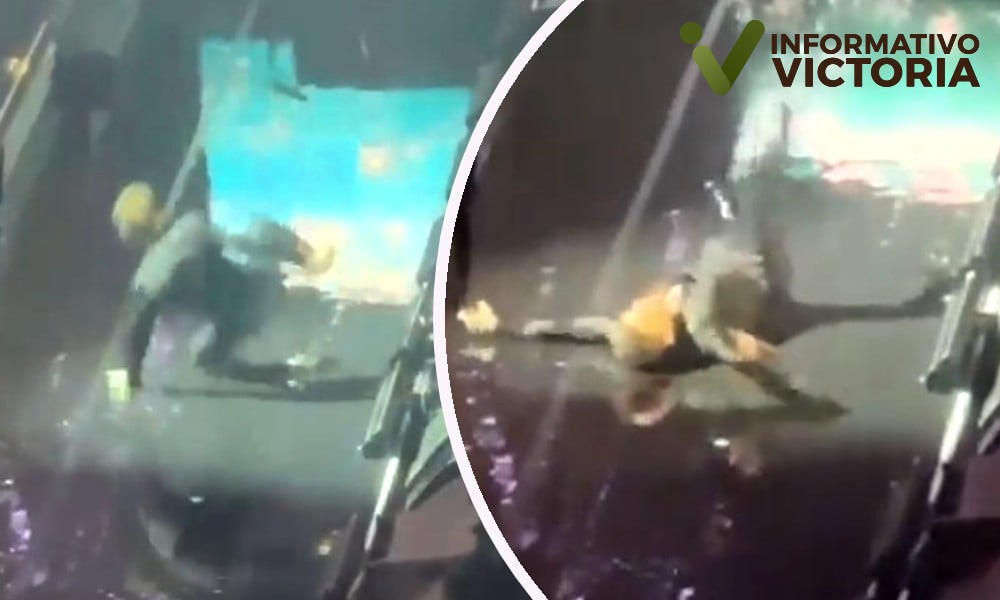 Se cae en pleno concierto Luis Miguel…