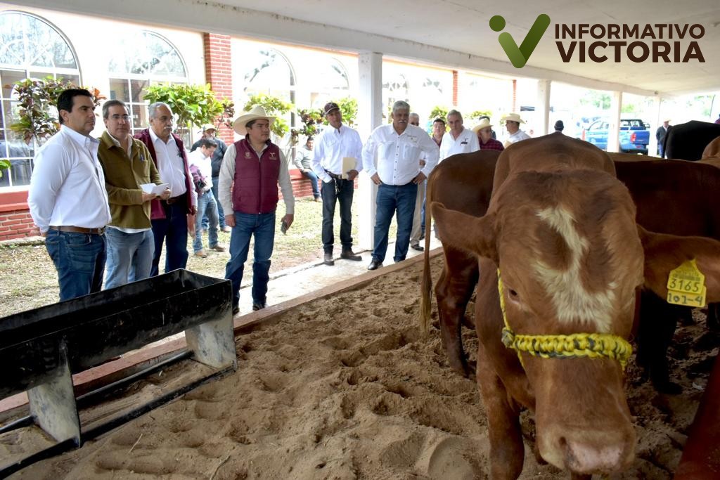Gobierno del Estado respalda a ganaderos de Aldama con Programa de Mejoramiento Genético