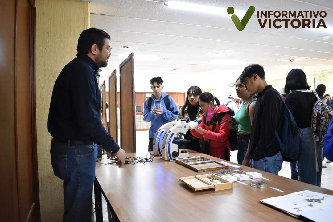 Identifica UAT plantas con potencial bioinsecticida