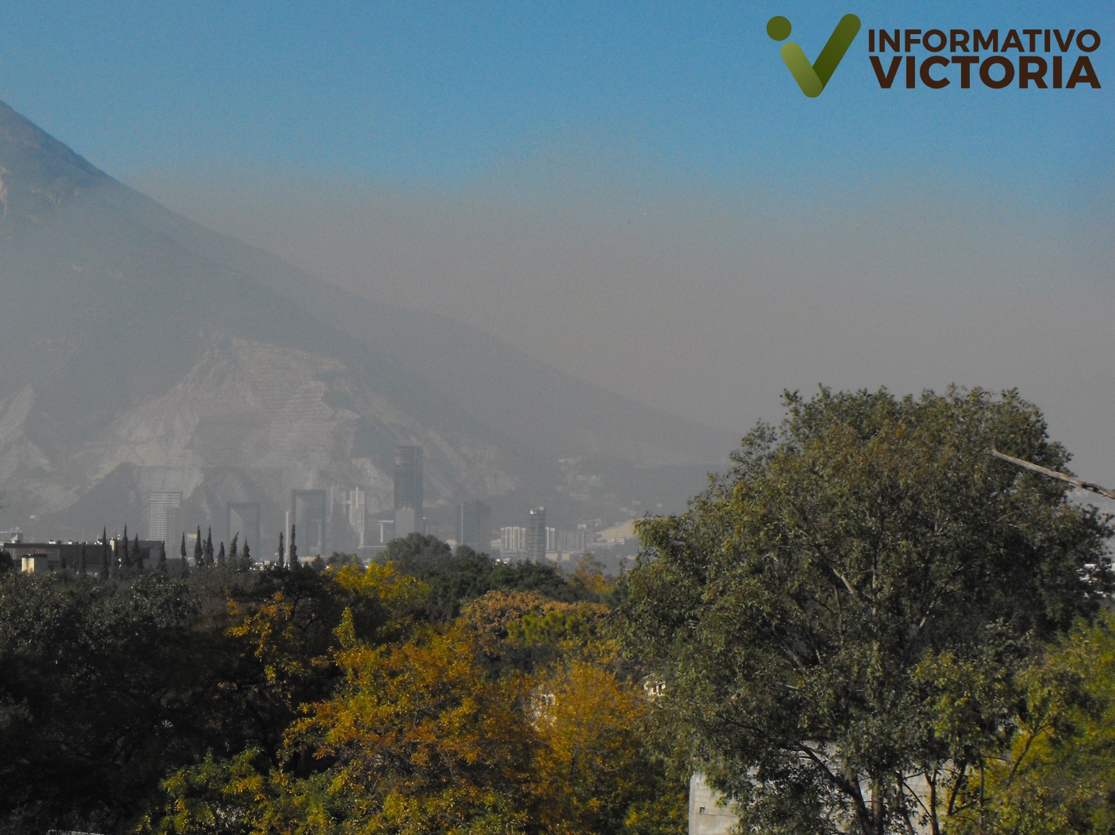 Estudia la UAT el impacto de la urbanización y contaminación en la vegetación en México