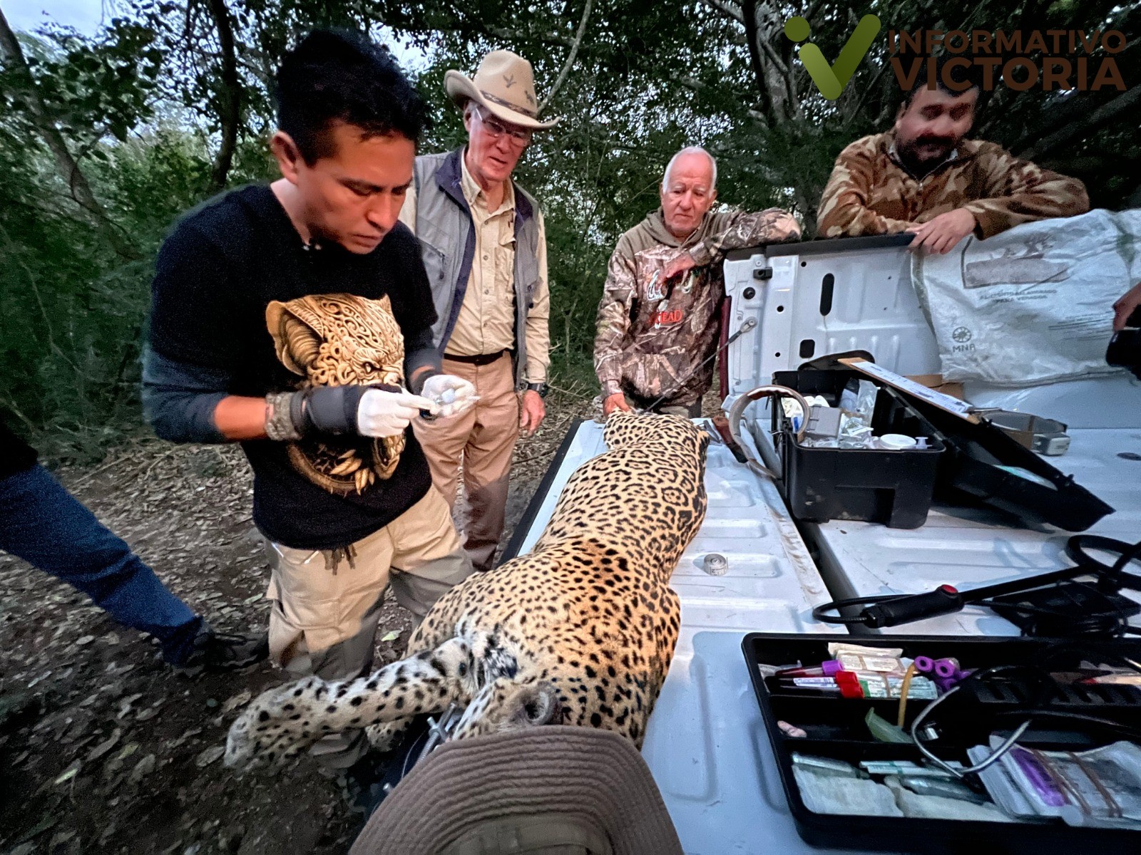 Impulsa Tamaulipas conservación del jaguar con estaciones de fototrampeo