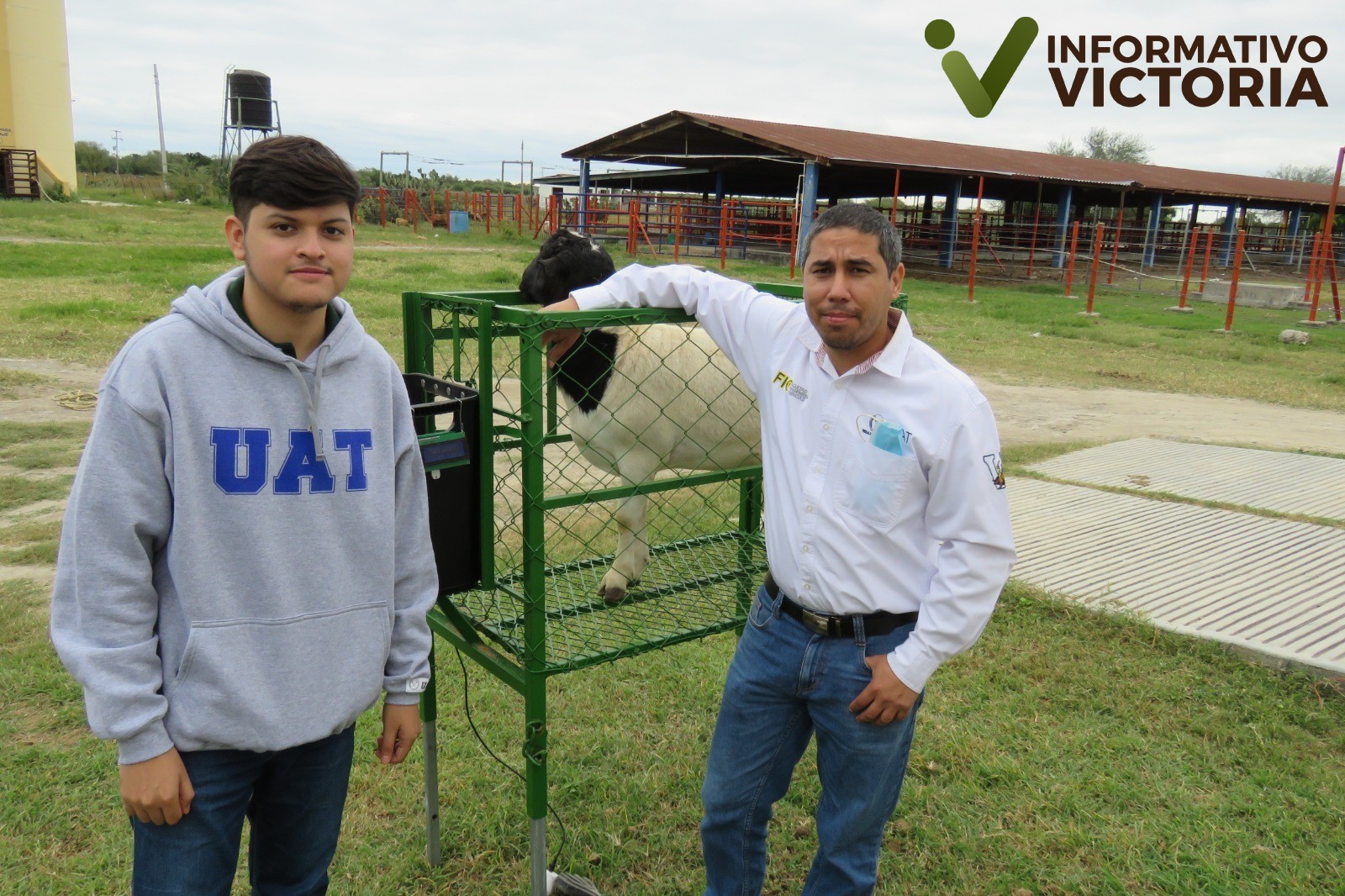 Estudiante de la UAT desarrolla innovador sistema de monitoreo de alimentación de borregos