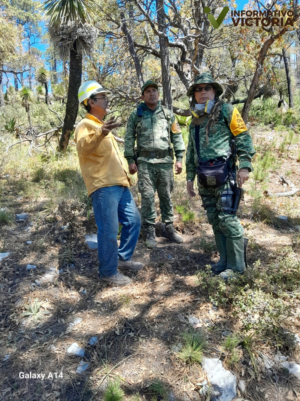 Extinguidos dos incendios forestales en Tamaulipas, tras esfuerzos coordinados