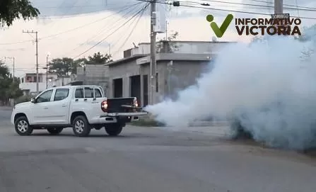 Acciones contra el dengue son oportunas pero no hay que bajar la guardia: SST