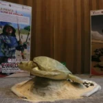 Consolida Tamaulipas su papel como referente en biodiversidad y turismo sustentable