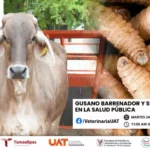 Dará la UAT conferencias sobre gusano barrenador y su impacto en la salud pública