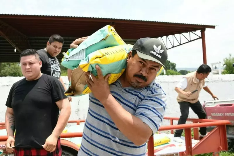 Refuerza Gobierno de Tamaulipas apoyo al campo con entrega de semillas de alta calidad