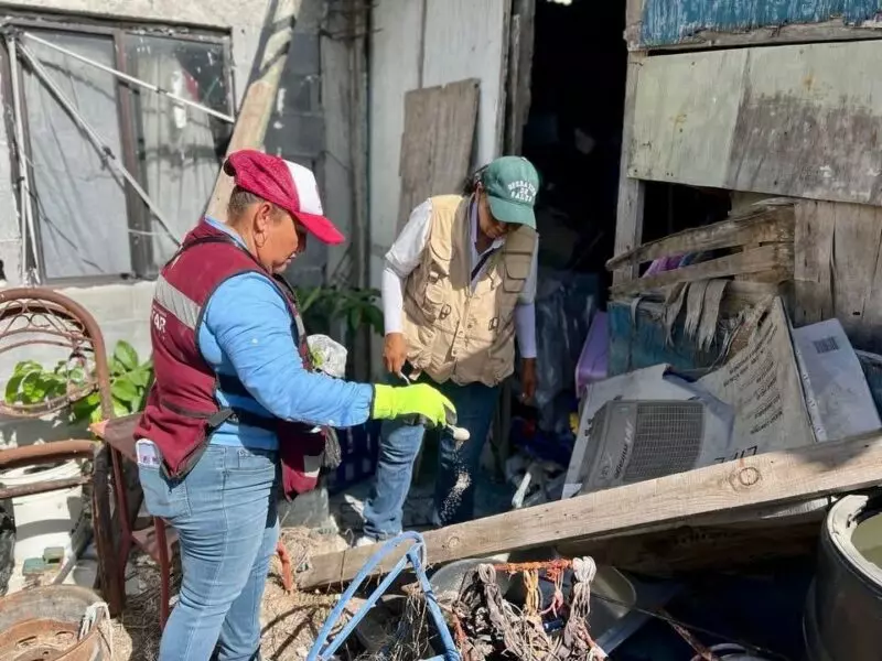 Intensifican acciones contra el dengue