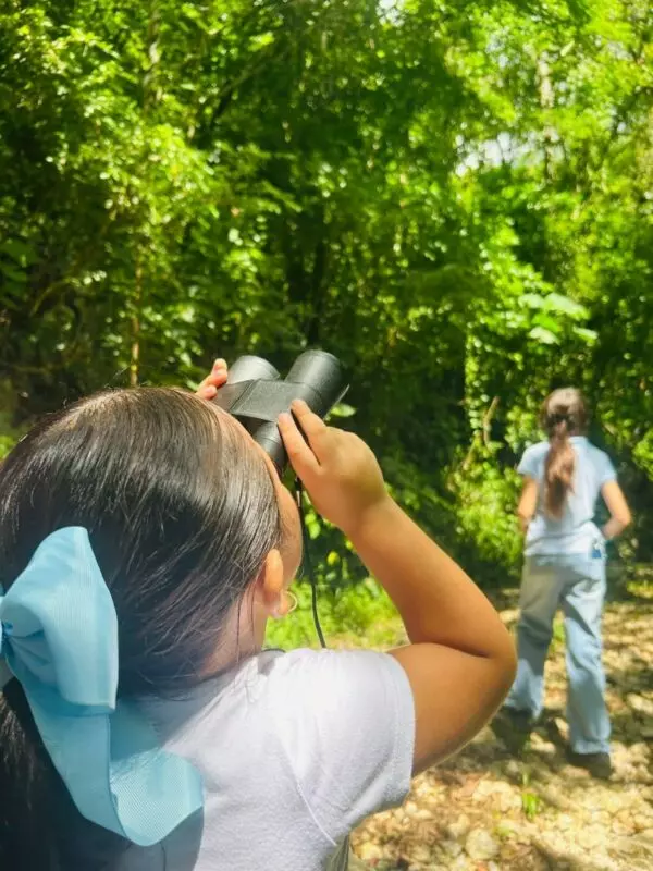 Tiene Tamaulipas una gran riqueza de aves : Comisión de Parques
