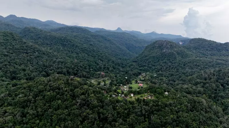 Reforesta SEDUMA 5 mil árboles en la Biosfera El Cielo