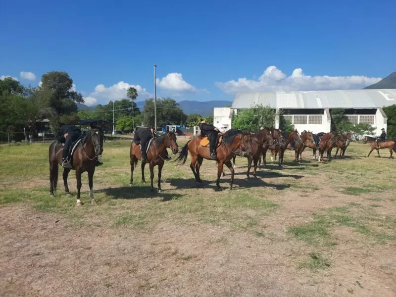Agrupamiento Montado de la Guardia Estatal se fortalece con gimnasia ecuestre