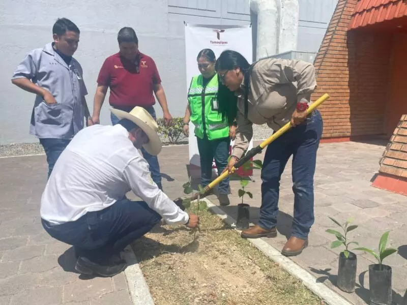 Entregan 300 plantas para reforestación de áreas verdes