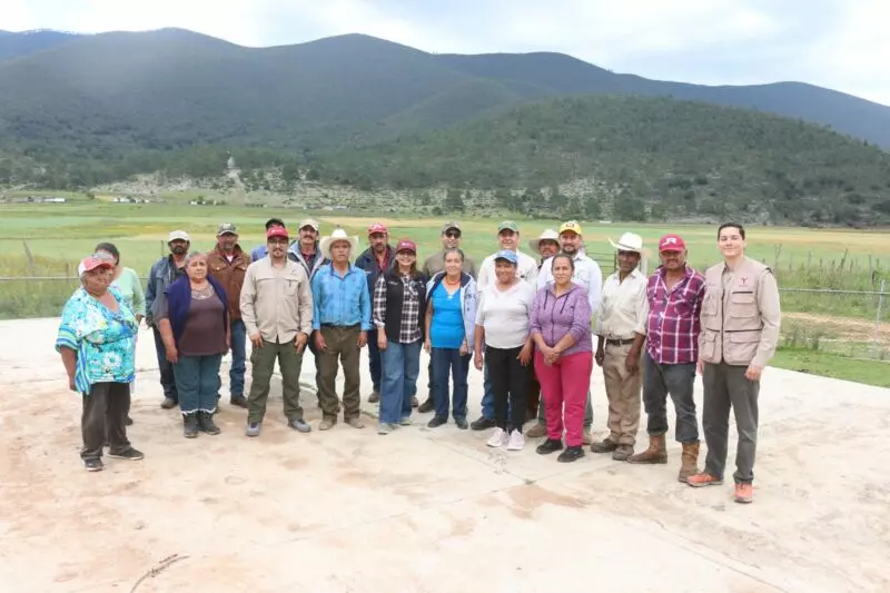 Fortalecen SEDUMA y CONAFOR economía local y conservación ambiental en Miquihuana