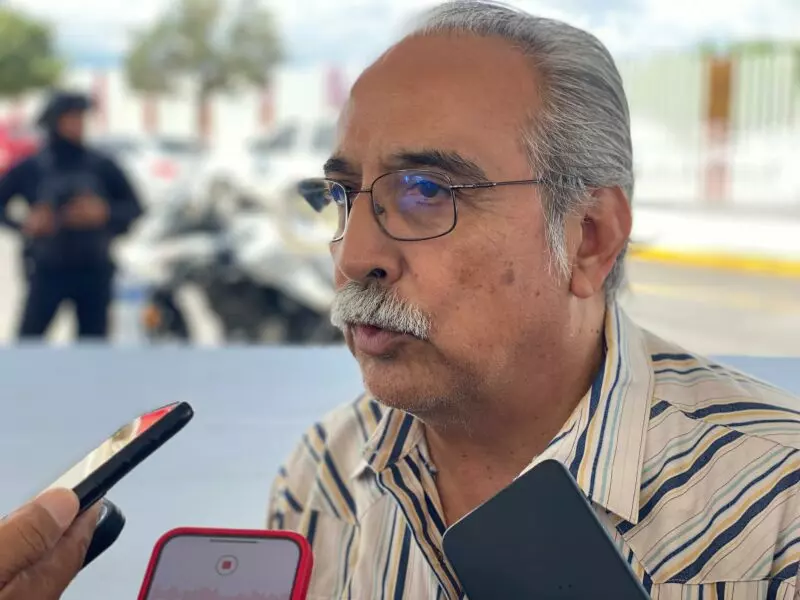 Trigo, alternativa viable para cultivos de invierno en Tamaulipas: SDR