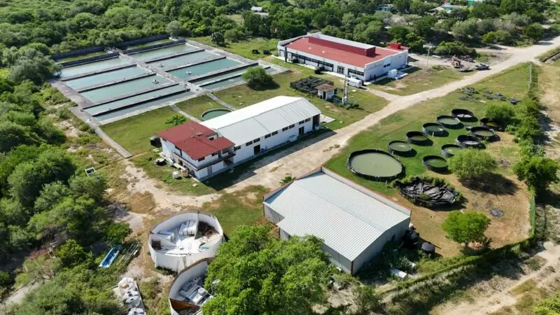 Fortalece Gobierno del Estado infraestructura educativa en la Universidad Tecnológica del Mar de Tamaulipas Bicentenario