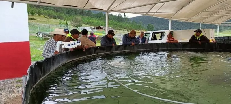 Nuevas estrategias productivas fortalecen la economía rural en Tamaulipas