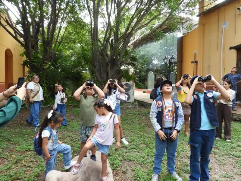 Invitan a pajareada y exposición fotográfica en el Museo TAMUX