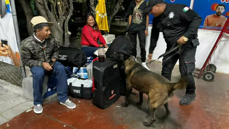 Realiza Agrupamiento Canino de la Guardia Estatal operativo para detectar narcóticos en Central de Autobuses
