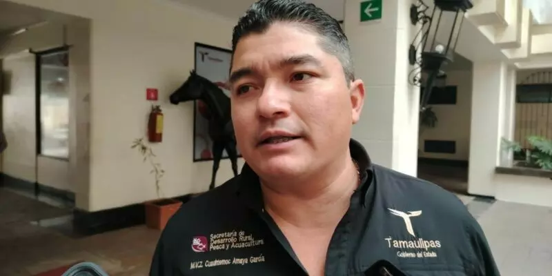  El Rastro de Aldama sigue sin funcionar
