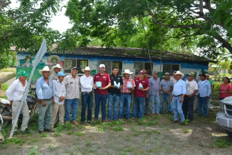Protege trabajo coordinado a becerros recién nacidos del gusano barrenador