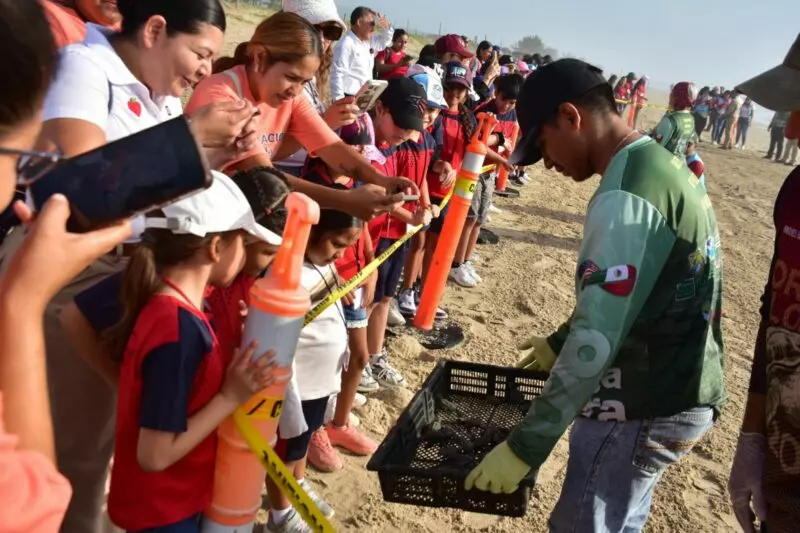 Liberan crías de tortuga lora niñas y niños de Güémez