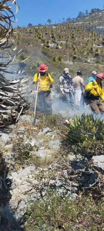 Refuerza Protección Civil Tamaulipas prevención y atención de emergencias con más de 10 mil capacitaciones durante el primer semestre de 2026   