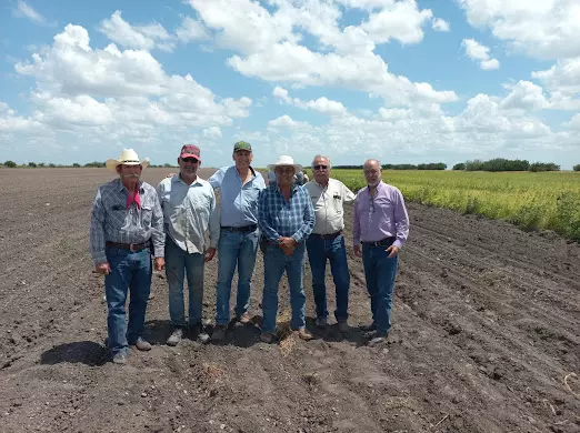 Supervisan avance del cultivo de frijol guar en el norte de Tamaulipas