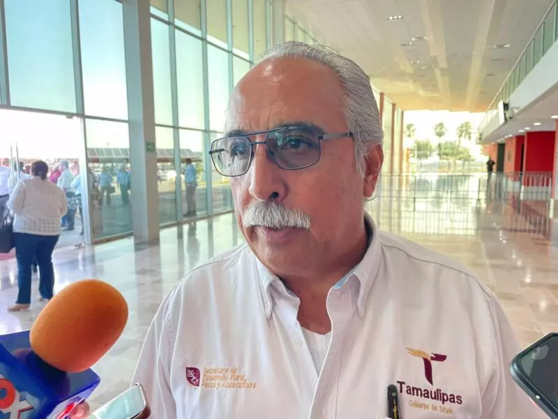Registra Tamaulipas disminución de casos de gusano barrenador