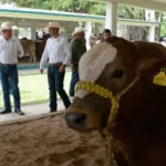 Acerca programa estatal, genética de alta calidad a las y los productores pecuarios